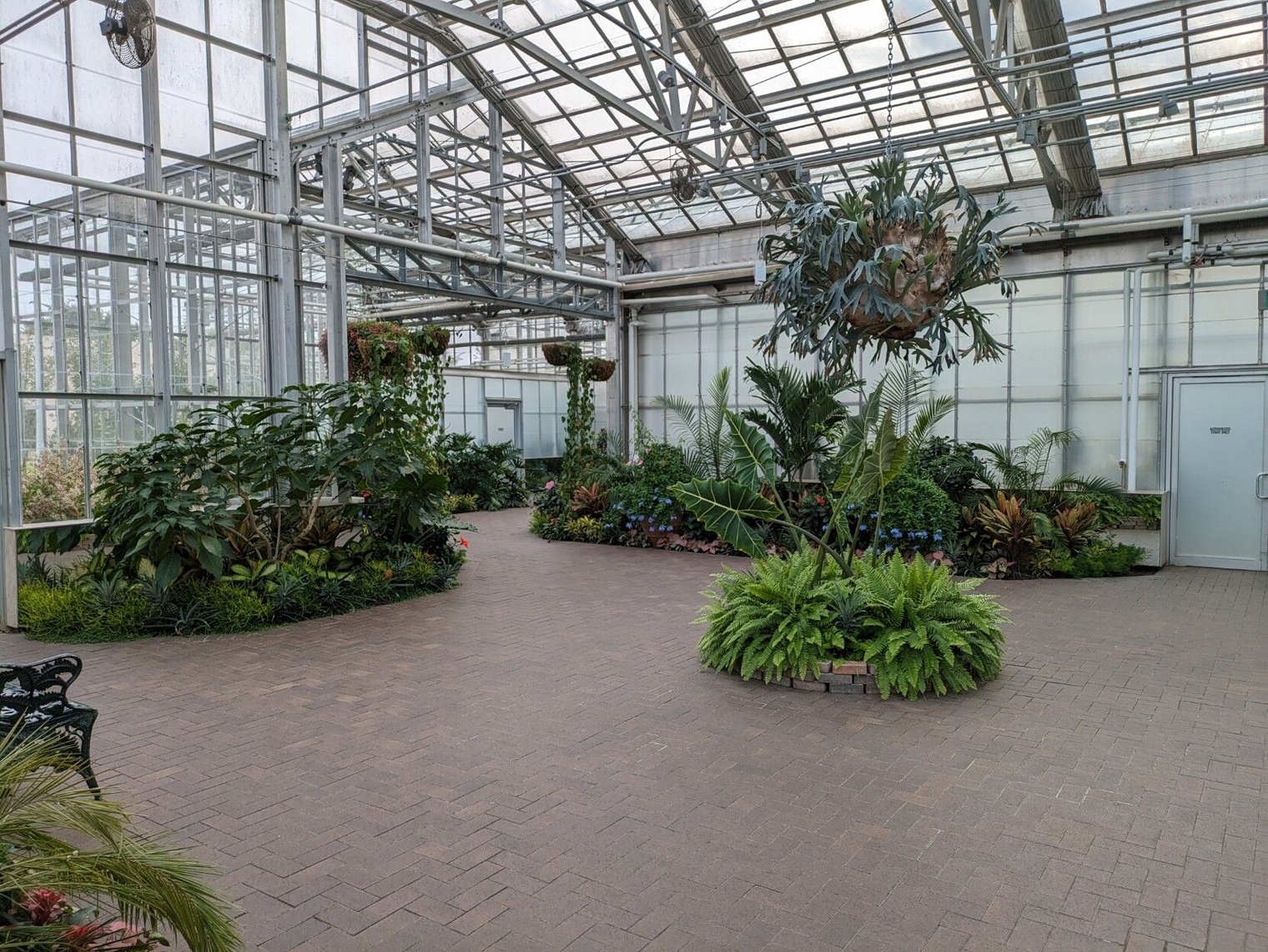 Greenhouse with plants hanging from the ceiling