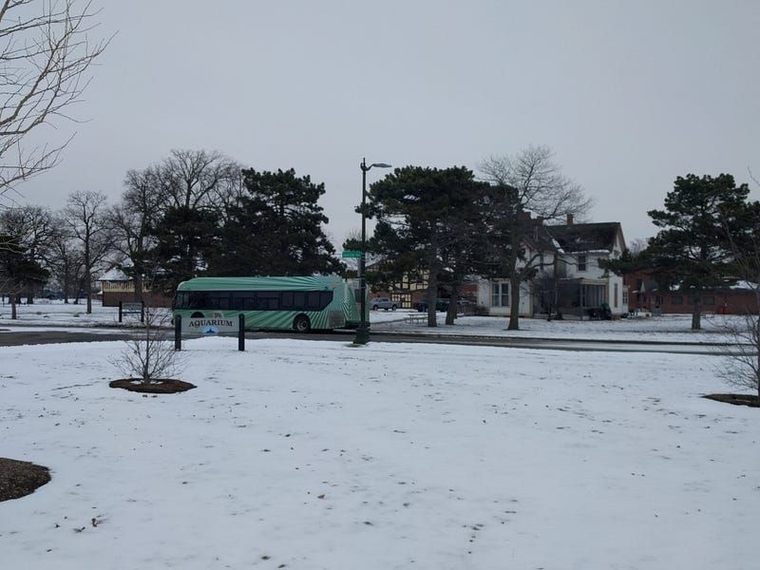 A green DDOT bus on Belle Isle in the winter.