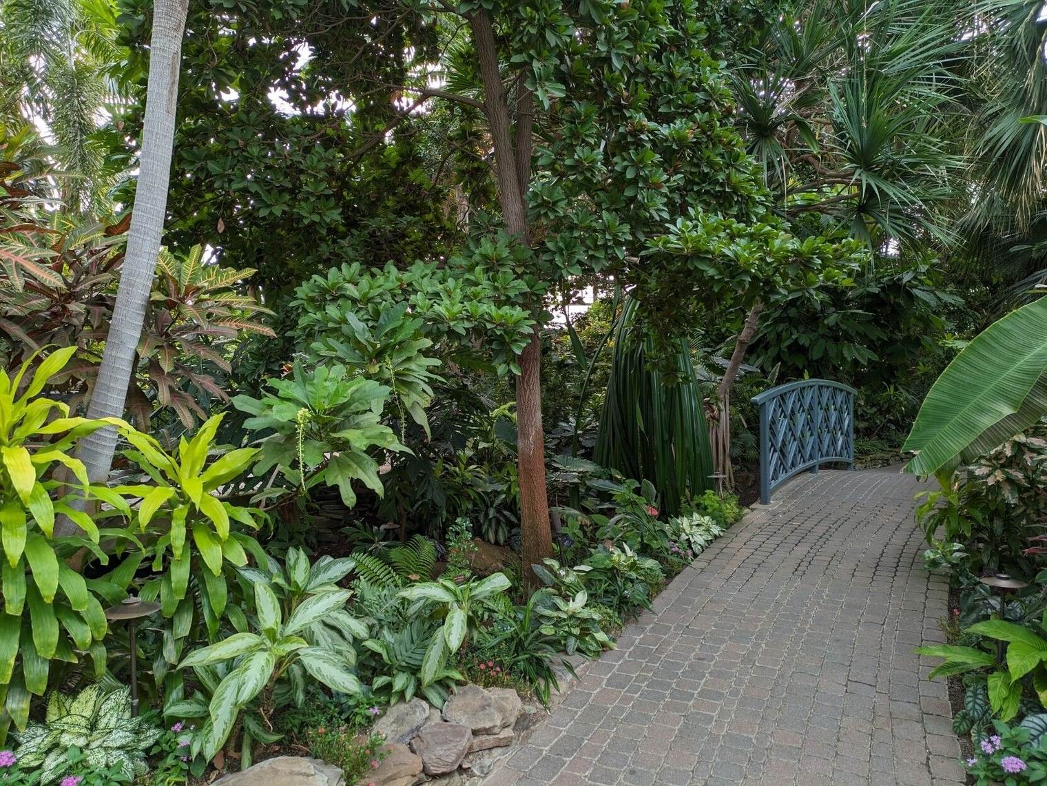 Bridge in the butterfly house