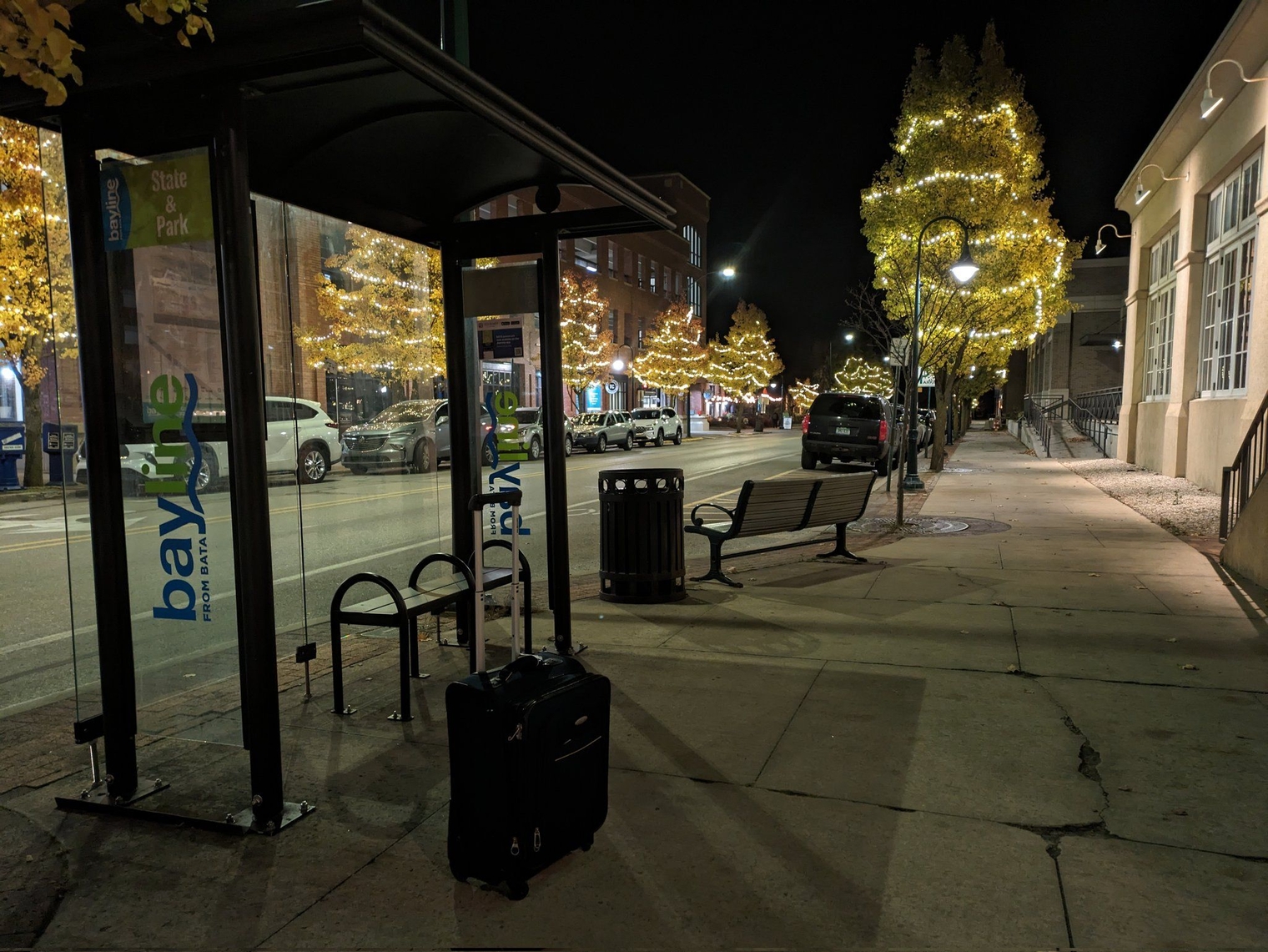 My suitcase next to a Bayline shelter. The trees along the street are decorated in lights