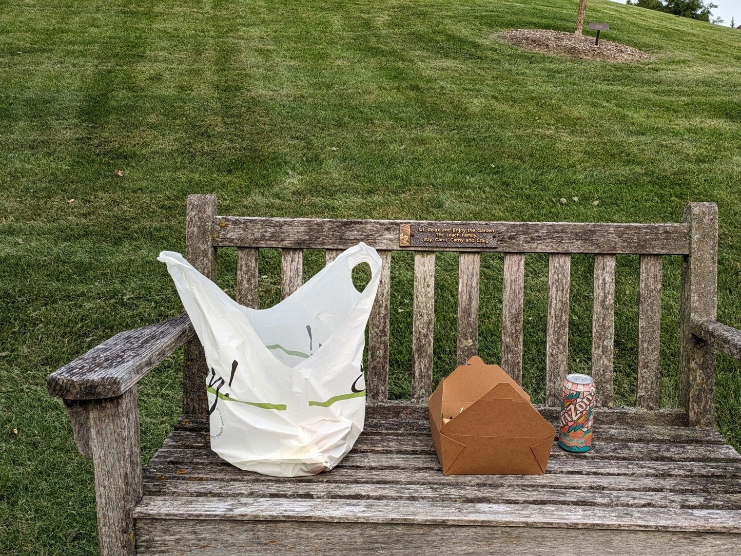 My dinner on a bench out in the gardens. A sandwich is in a plastic to-go bag along with salad in a cardboard box and a can of iced tea.