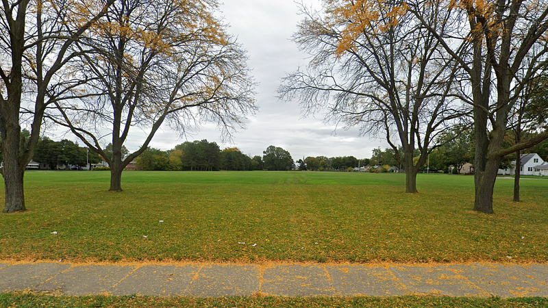 A leaf-covered sidewalk next to a grassy field